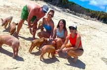 Pearl Island pigs beach adventure with lunch