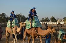Sunset Camel Ride in Agadir With Transport, Tea, and Local Cakes