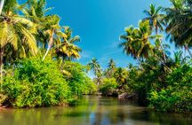 Negombo lagoon boat cruise from Colombo