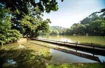 Negombo lagoon boat cruise from Colombo
