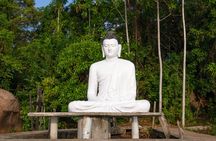 Madu river boat ride and Galle city tour from Negombo
