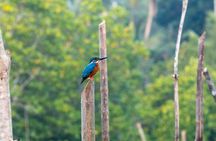 Madu River boat ride and Galle city tour from Colombo