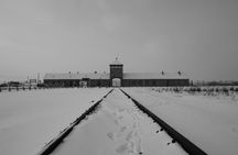 Entrance Ticket and Guided Tour to Auschwitz Birkenau