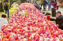 Keukenhof entrance ticket including shuttle bus