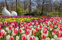 Keukenhof entrance ticket including shuttle bus