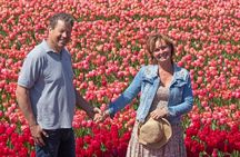 Day Trip to Keukenhof, Tulip Farm and Windmill Cruise