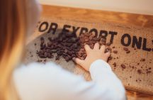 The chocolate experience WOW Museum ticket