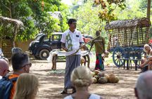 Sri Lankan agro village traditions tour from Bentota region