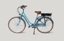 E-bike rental in Dresden