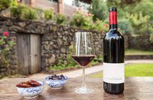 7 or 4 Wines and Food Tasting in Etna Regional Park with Winery Tour