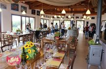 7 or 4 Wines and Food Tasting in Etna Regional Park with Winery Tour