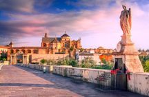 Day trip to Cordoba from Malaga at your leisure