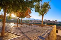 Day trip to Granada from Malaga at your leisure