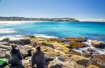 Kiama Blowhole, Farmlands and Beaches Full-Day Tour from Sydney