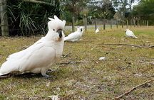Kiama Blowhole, Farmlands and Beaches Full-Day Tour from Sydney