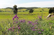 Kiama Blowhole, Farmlands and Beaches Full-Day Tour from Sydney