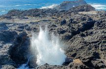 Kiama Blowhole, Farmlands and Beaches Full-Day Tour from Sydney