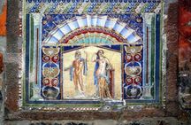 Vesuvio and Herculaneum transfer and skip-the-line tickets from Naples