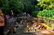 Furnas and East São Miguel Island tour