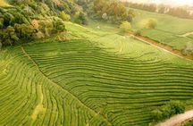 Furnas and East São Miguel Island tour
