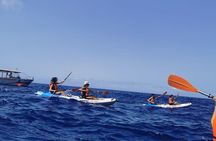 Boat trip with kayak experience from Funchal