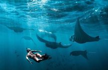 Private Nusa Penida all-inclusive snorkeling adventure