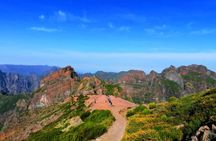 Madeira Island East private tour with Santana visit