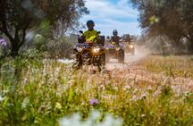 Quad tour experience from Albufeira
