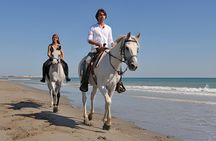 Bali horse riding experience and coffe plantation visit