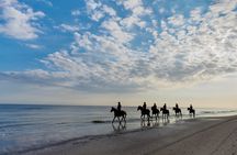 Bali horse riding experience and coffe plantation visit