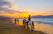 Bali horse riding experience and coffe plantation visit