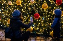 Vienna Christmas Market tour with a local