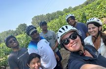 E-bike tour in the Luberon region from Aix-en-Provence