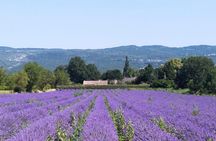 Lavender in Sault and tour of Gordes and Roussillon