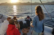 Lanzarote Sunset Dolphin Spotting Catamaran Cruise