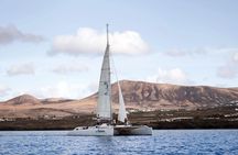 Lanzarote dolphin and whale watching four-hour boat trip