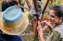 Wildlife, waterfalls and wine full day guided tour from Sydney