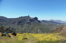 Guided tour of the Bandama Caldera and Roque Nublo