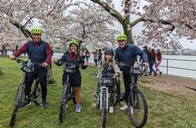Cherry Blossom Festival guided bike tour in Washington DC