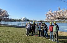 Cherry Blossom Festival guided bike tour in Washington DC