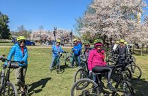 Cherry Blossom Festival guided bike tour in Washington DC