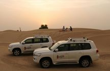 Dubai Desert safari with camp activities and BBQ dinner