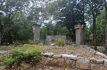 Full-Day Luxury Tour to Tulum, Cenote, and 5th Avenue Playa del Carmen