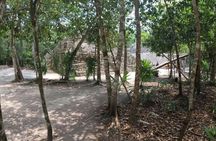 Full-Day Luxury Tour to Tulum, Cenote, and 5th Avenue Playa del Carmen