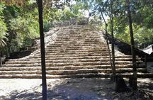 Full-Day Luxury Tour to Tulum, Cenote, and 5th Avenue Playa del Carmen