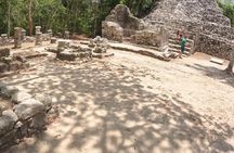 Full-Day Luxury Tour to Tulum, Cenote, and 5th Avenue Playa del Carmen