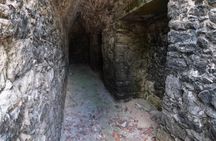 Full-Day Luxury Tour to Tulum, Cenote, and 5th Avenue Playa del Carmen