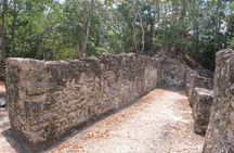 Full-Day Luxury Tour to Tulum, Cenote, and 5th Avenue Playa del Carmen