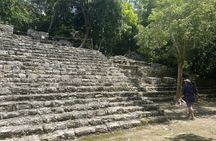 Full-Day Luxury Tour to Tulum, Cenote, and 5th Avenue Playa del Carmen