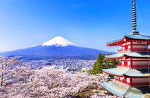 1-day tour to Mount Fuji, Oshino Hakkai with outlets or hot springs